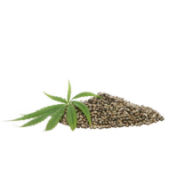 Hemp Seed Oil