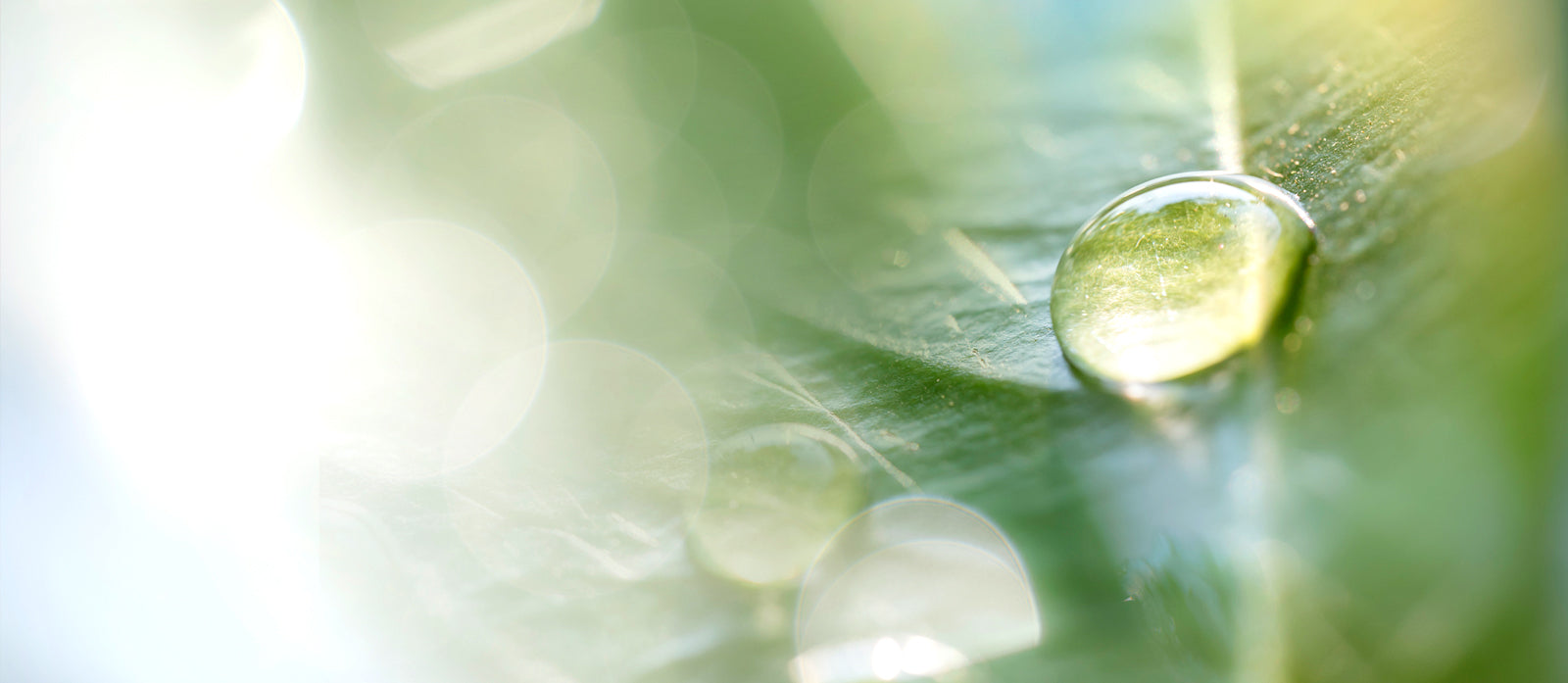 How To Get Dewy Skin Through Hydration Layering