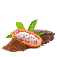 Poudre de fruits de cacao