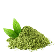 Green Tea Flower Extract